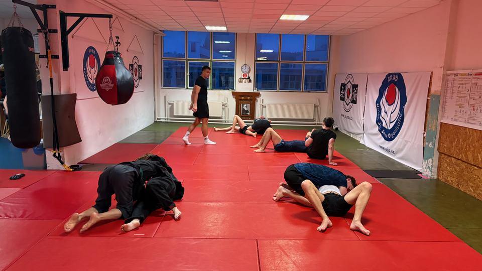 Training on the mat, several pairs drilling